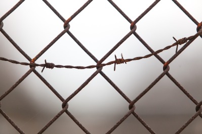 steel fence mesh